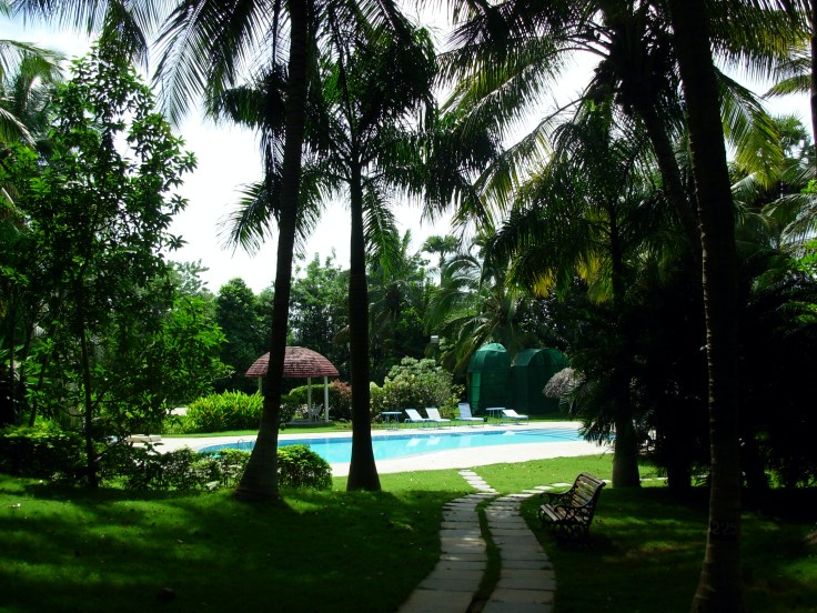 Swimming Pool-10.JPG